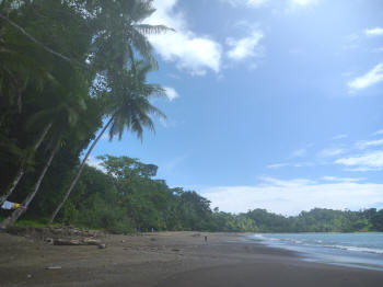 Strand van Drake Bay