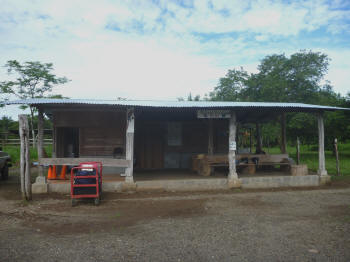 Terminal van Drake Bay