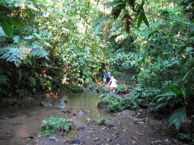 Tour door de jungle