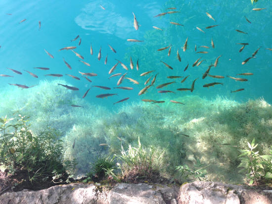 Is het een aquarium? Nee, het is een helder meer, gefotografeerd vanaf de kant!