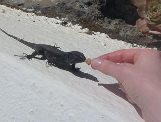 Brood uit mijn hand eten