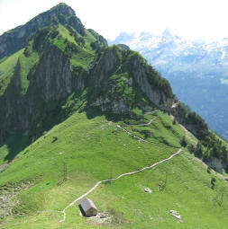 wandelpaadje